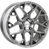 8x18/5x112 ET30 D66,6 R148 (BMW X3/X4) BMG